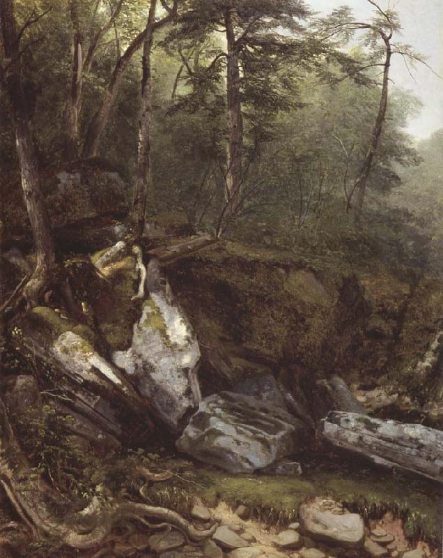 Asher Brown Durand Study from Nature rocks and trees in the Catskills China oil painting art